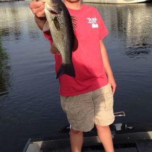 Meet your Posher, Buddy